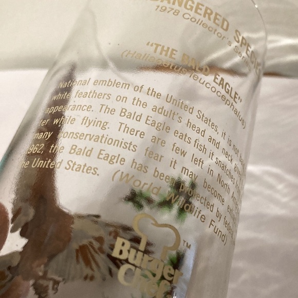 VINTAGE BURGER CHEF "THE BALD EAGLE" 1978 ENDANGERED SPECIES COLLECTORS Glass - Picture 11 of 13